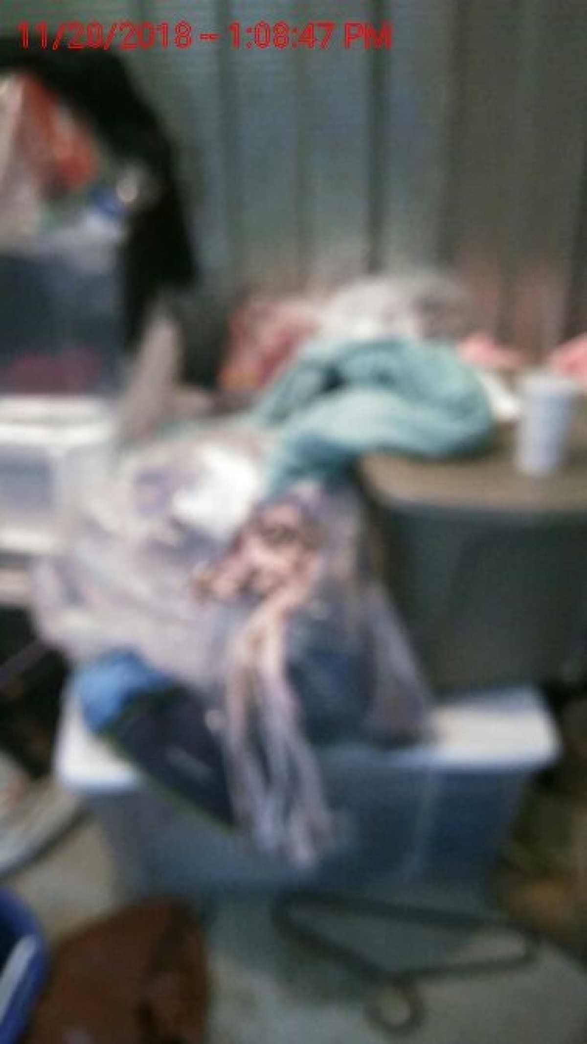 Central Self Storage Rohnert Park Dandk Organizer